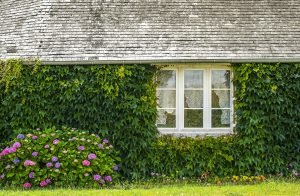 Country house in Mayenne