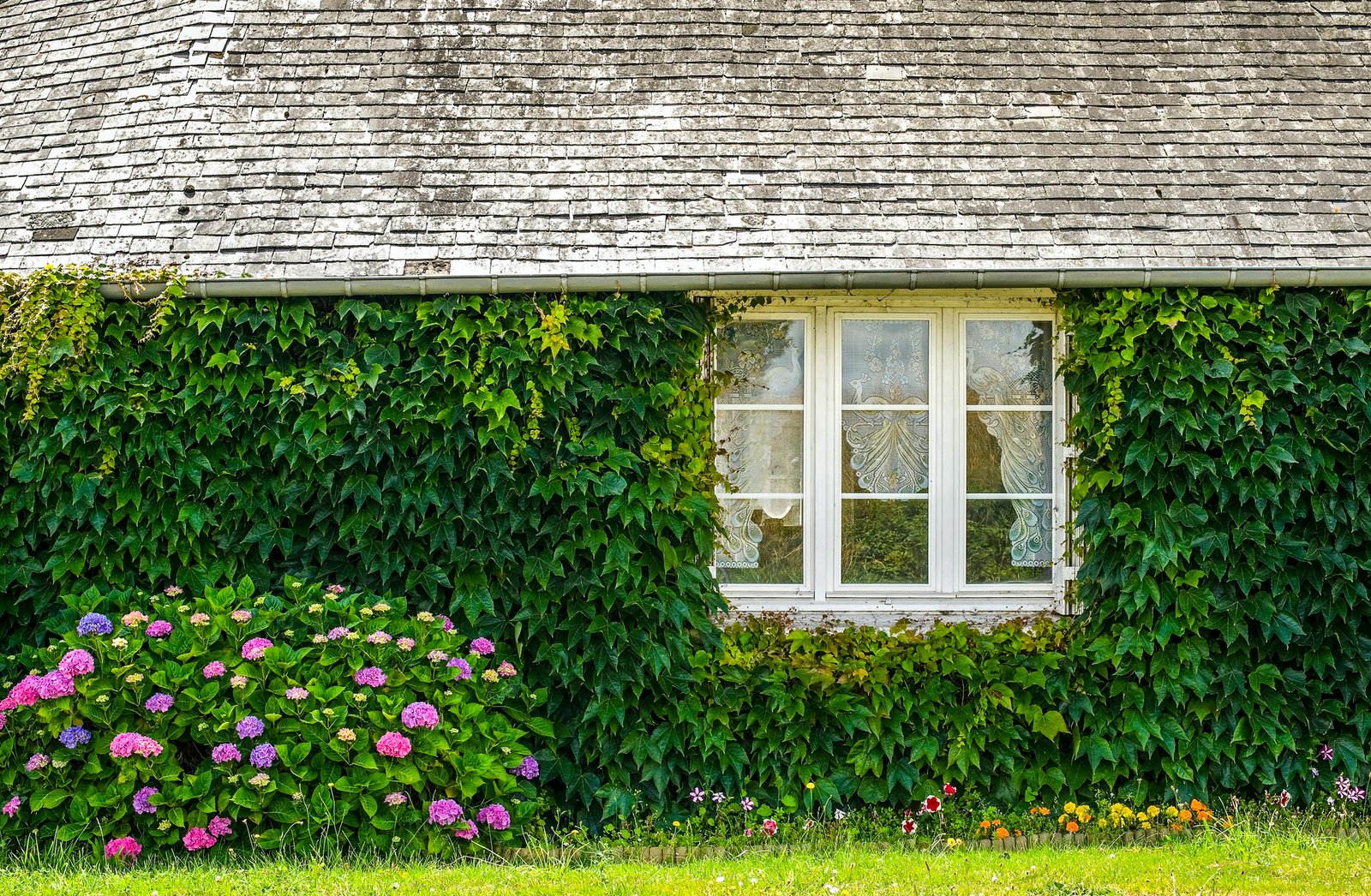 Country house in Mayenne