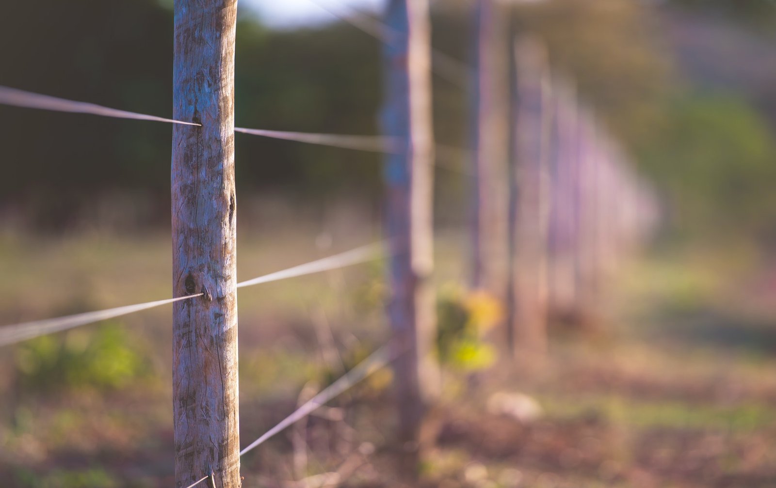 Wire Wooden Fence