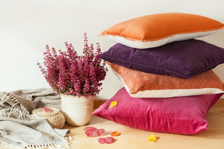colorful cushions throw cozy home autumn mood flower