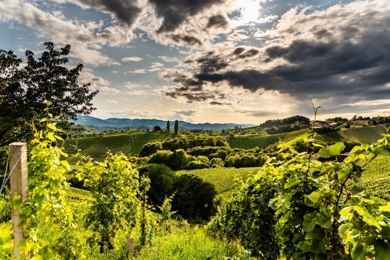 Austria, south styria vineyards travel destination. Tourist spot for vine