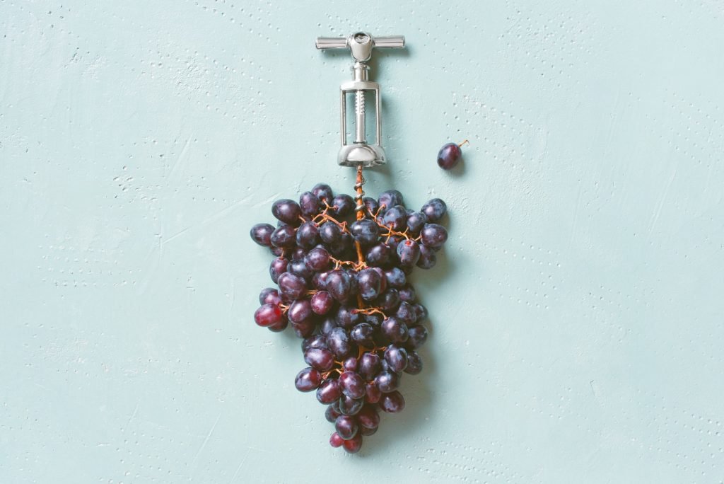 Concept of Organic Wine Production