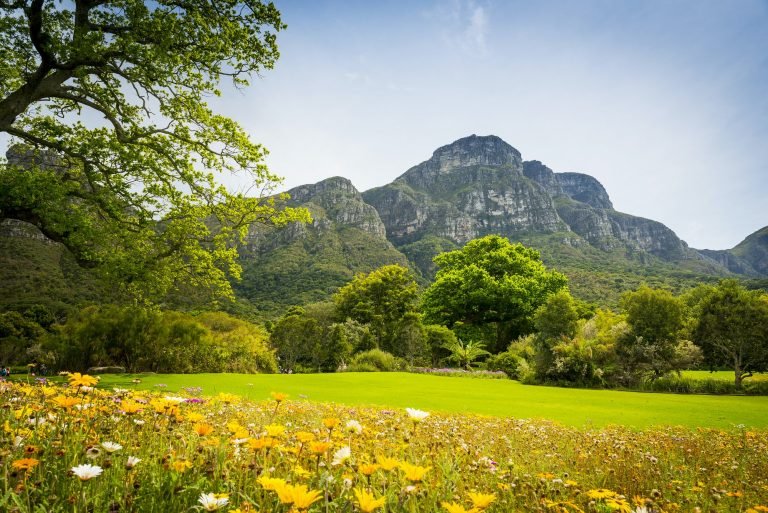 Table Mountain Cape Town, South Africa