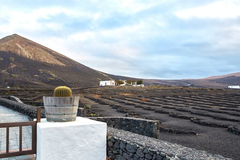 Vineyards in La Geria, Lanzarote Island