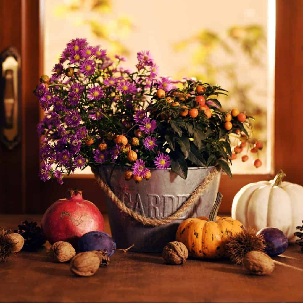 autumnal decoration