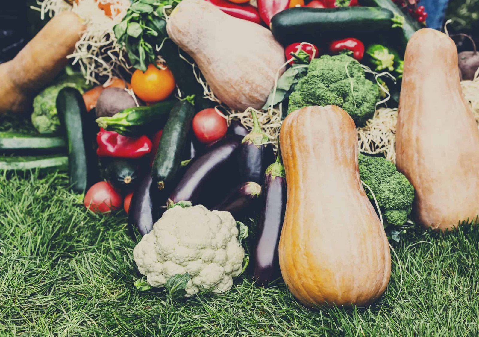 Farmers food market place, organic vegetables