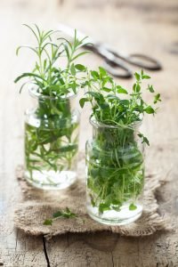 fresh thyme and rosemary in glass