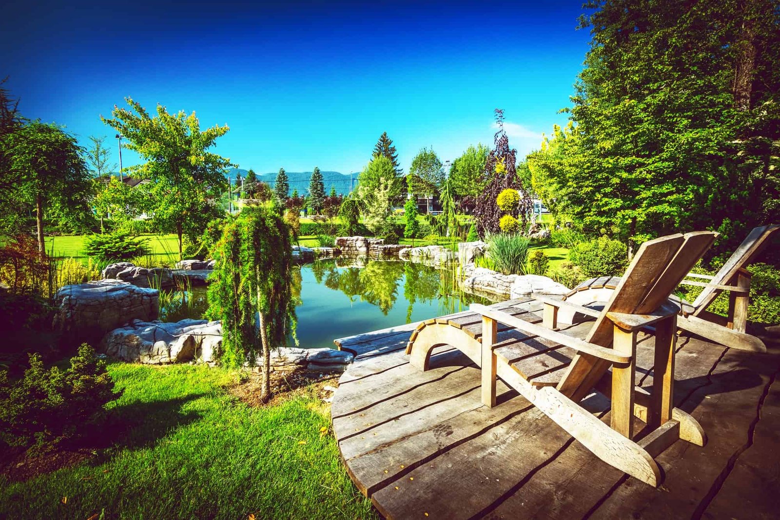Garden Backyard Pond