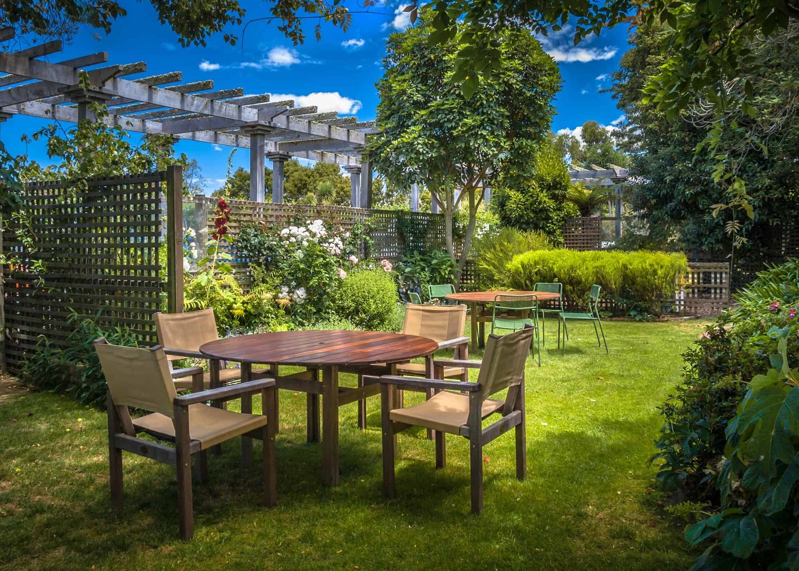 Home backyard summer garden