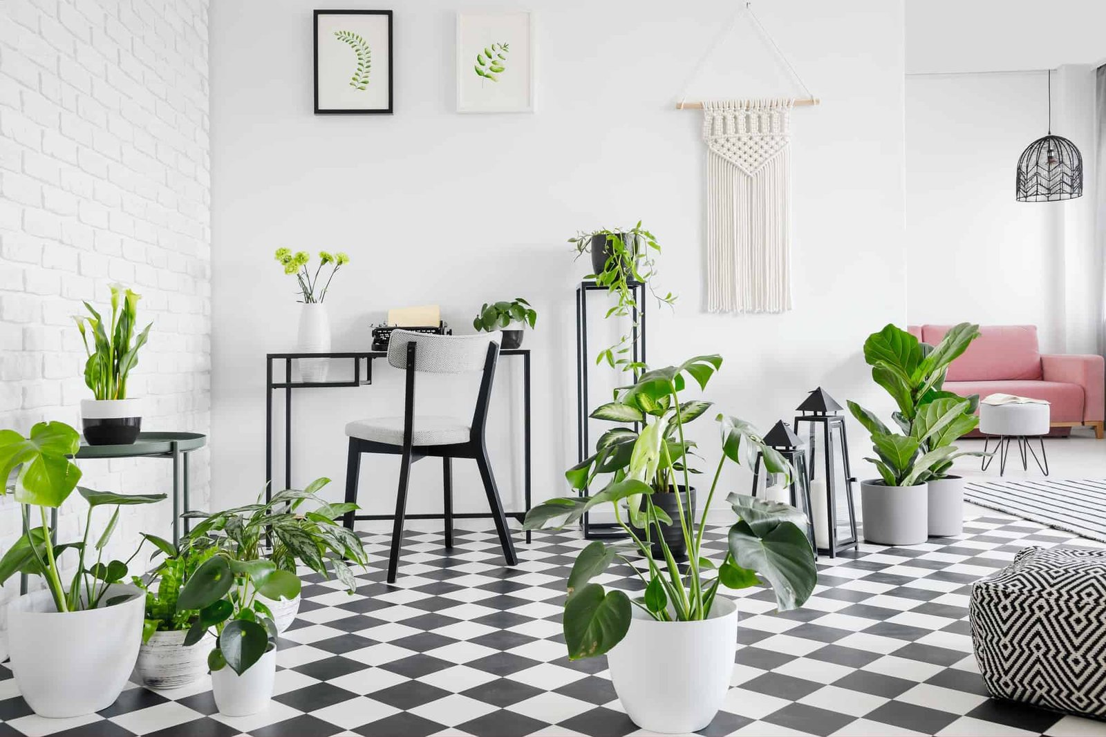 Plants on checkered floor in living room interior with posters a