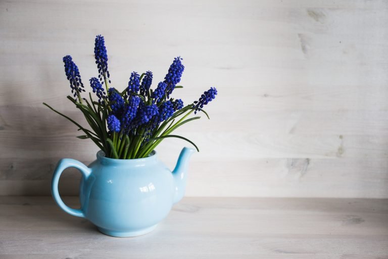 Blue flowers in a vase. Vintage