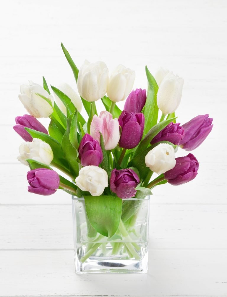 Colorful tulips flower bouquet