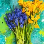 Cut flowers