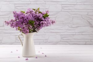 Lilac flowers