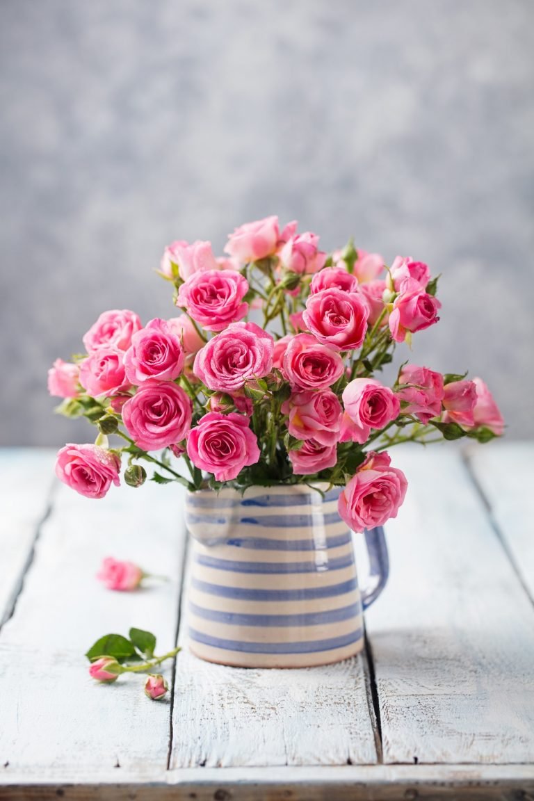 Rose Flowers in Vase. Beautiful Romantic Bouquet. Copy Space.