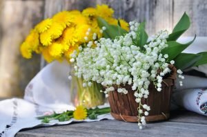 Basket with lilies of the valley (Convallaria majalis)