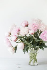 beautiful pink peony flowers bouquet in vase