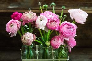Bouquet of Pink Ranunculus Buttercup Flowers