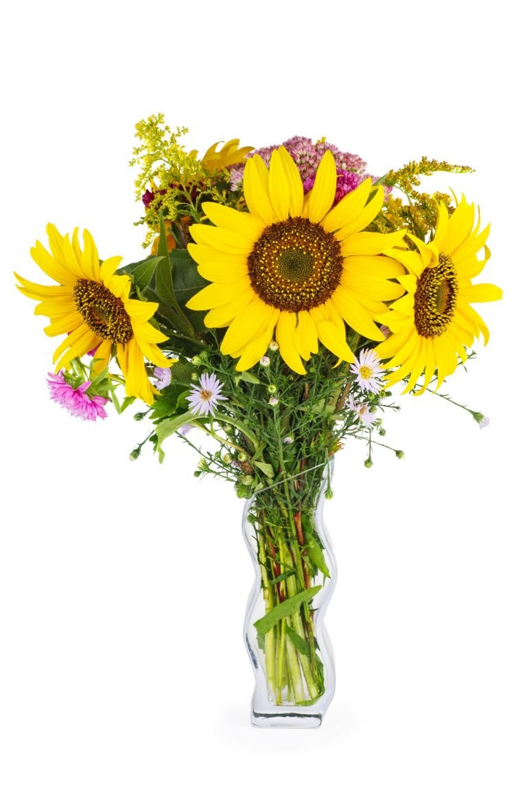 Bouquet of sunflowers