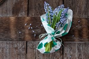 Bunch of blue hyacinths