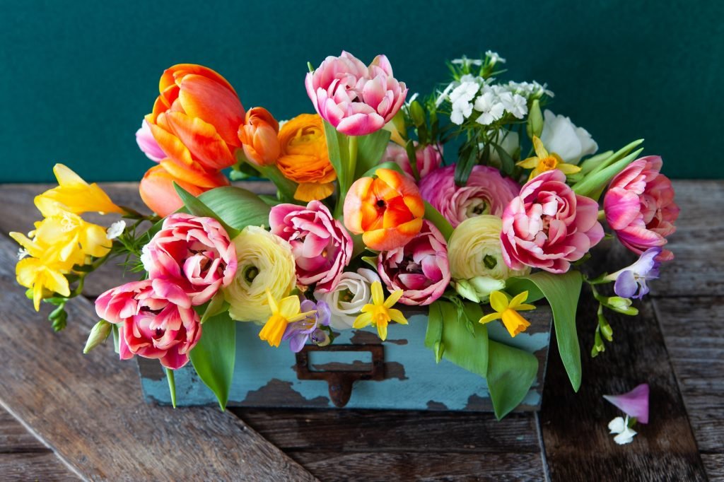Colorful spring flowers