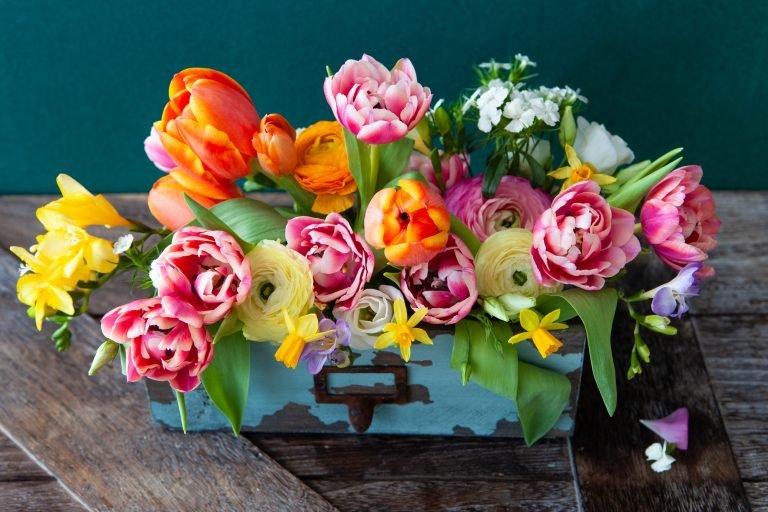 Colorful spring flowers