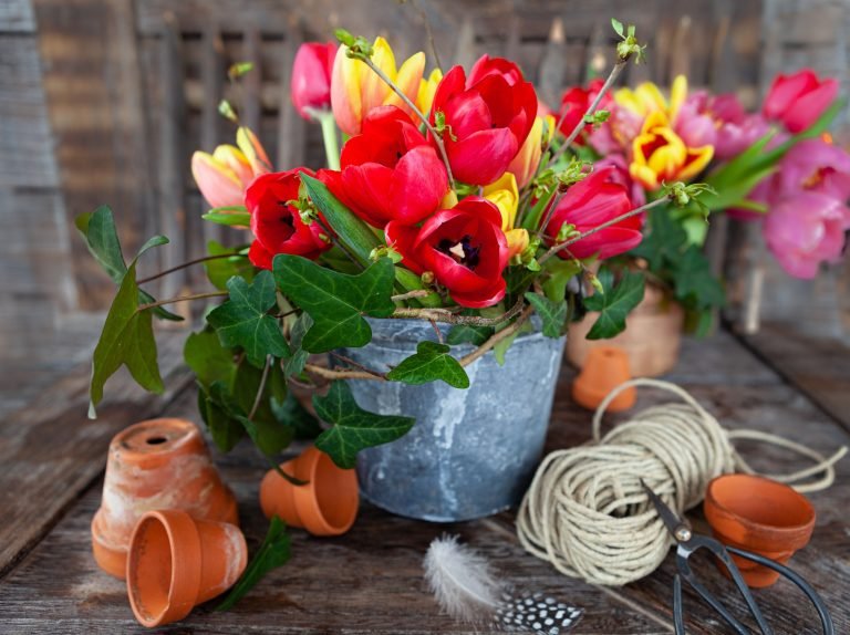Colorful spring flowers