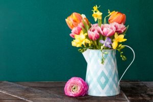 Colorful spring flowers