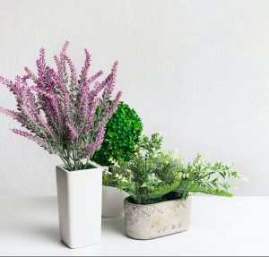 Decorative houseplants and lavender in pots over wall