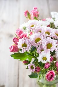 Flowers chrysanthemums and roses