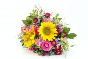 Fresh Bouquet of Summer Flowers Isolated no White
