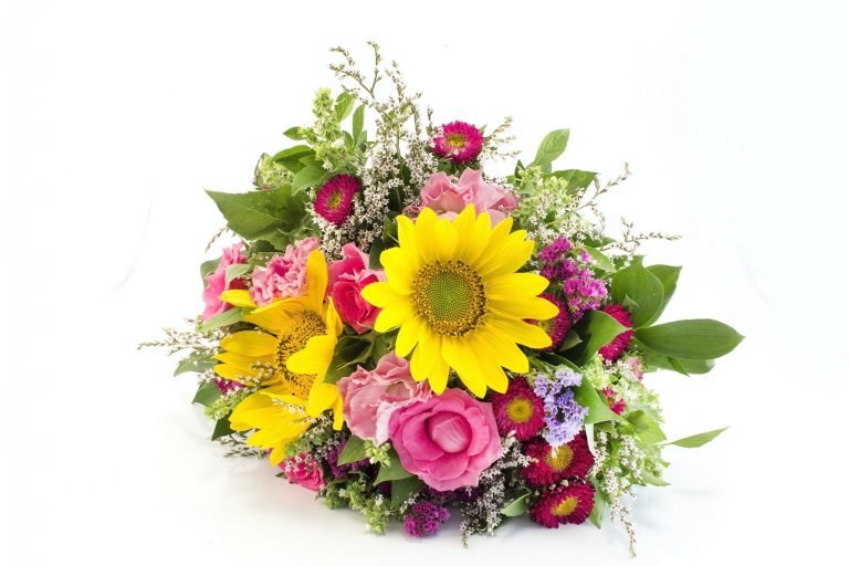 Fresh Bouquet of Summer Flowers Isolated no White