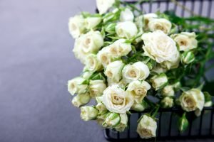 White Rose Bouquet.Holiday Day Valentine ,Birthday,Greeting Card,Gift.
