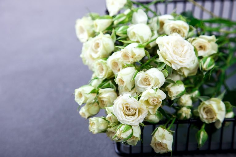 White Rose Bouquet.Holiday Day Valentine ,Birthday,Greeting Card,Gift.