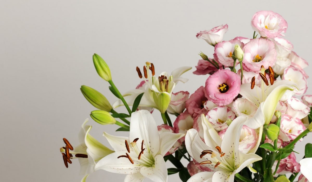bouquet of beautiful flowers