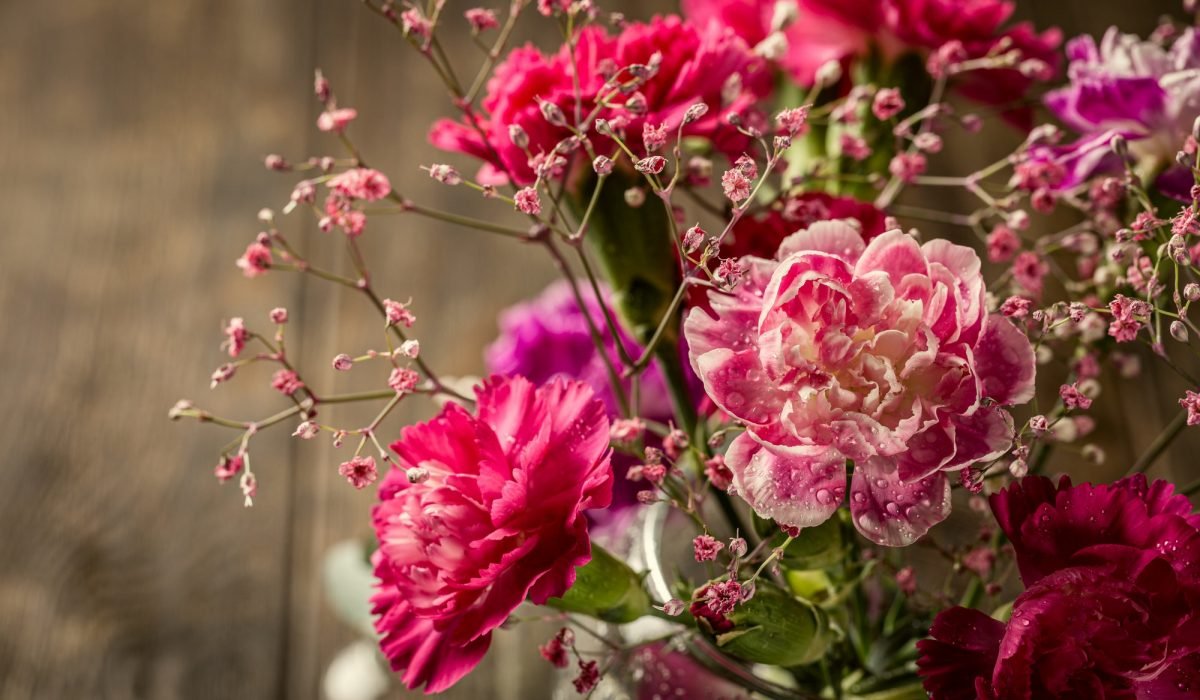 Bouquet of pink carnation