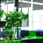 In-office florals and plant maintenance