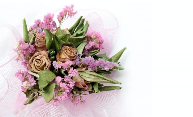 dried flower